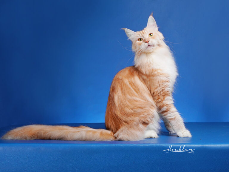 Atipa Padmanaba of Servian